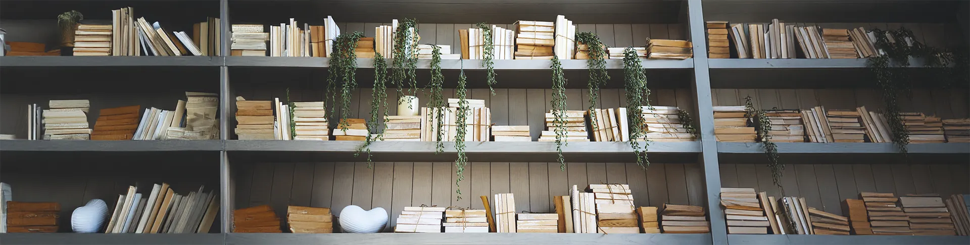 books-shelf